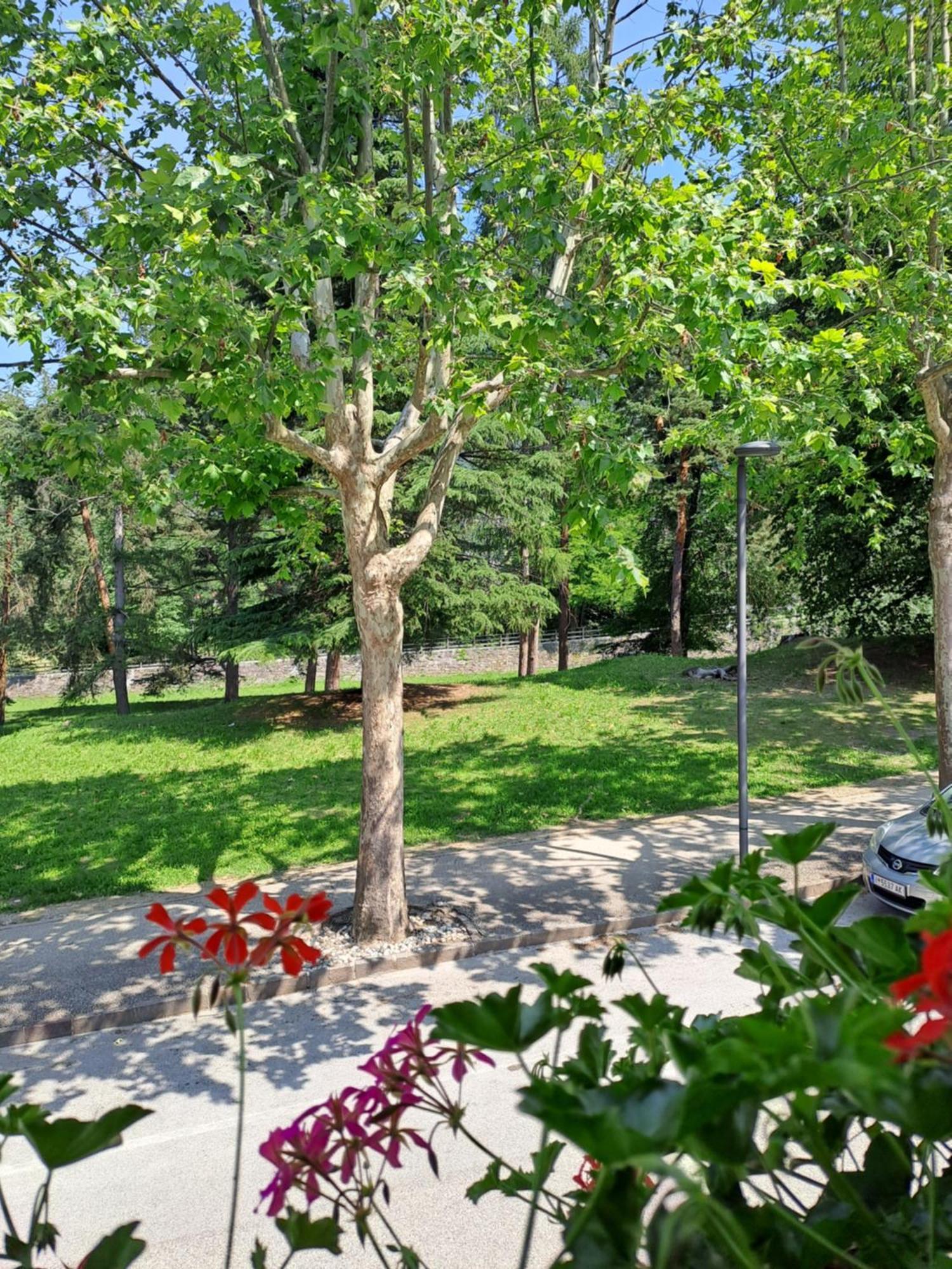 Casa Alby Apartman Levico Terme Kültér fotó