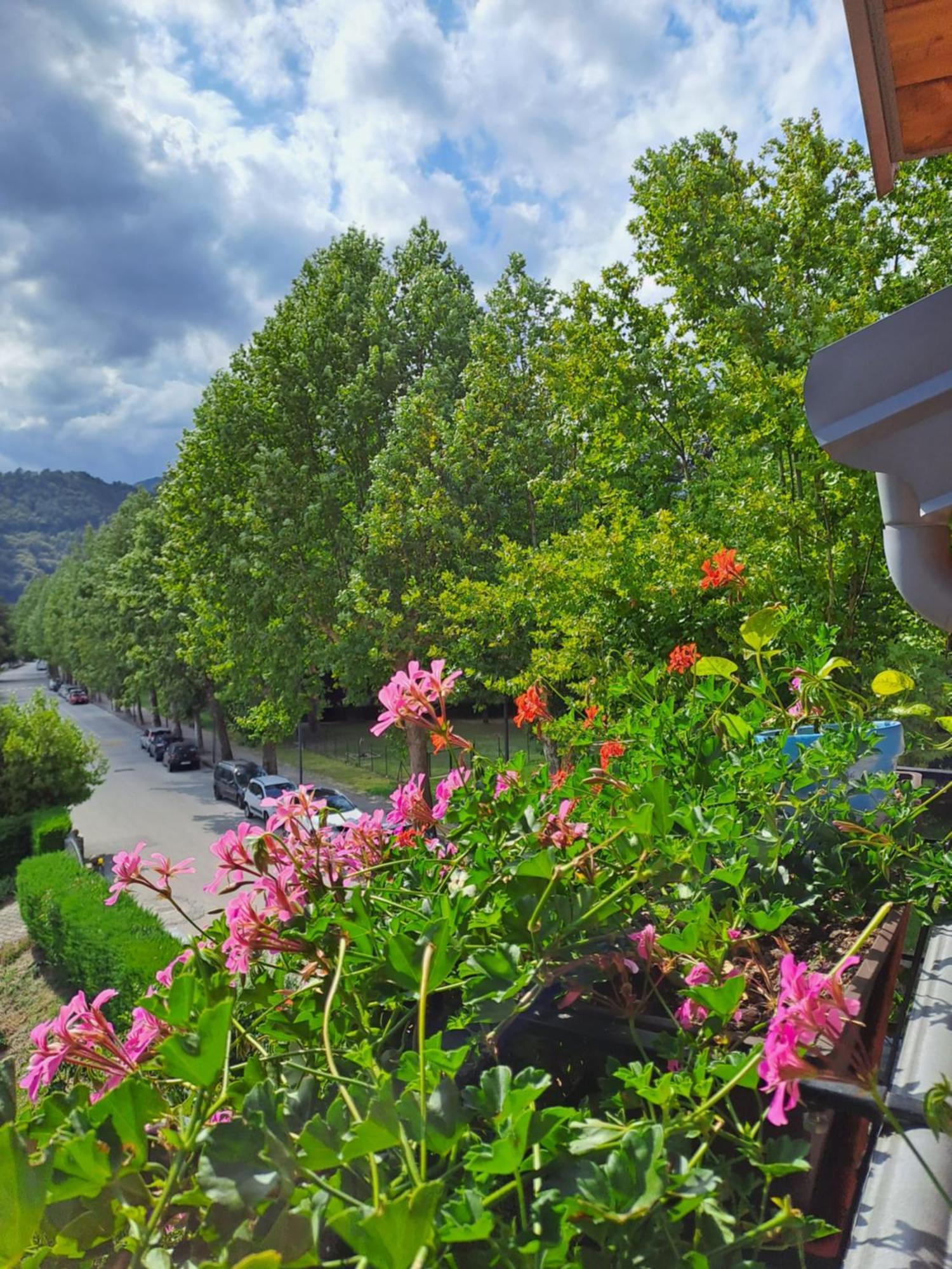 Casa Alby Apartman Levico Terme Kültér fotó